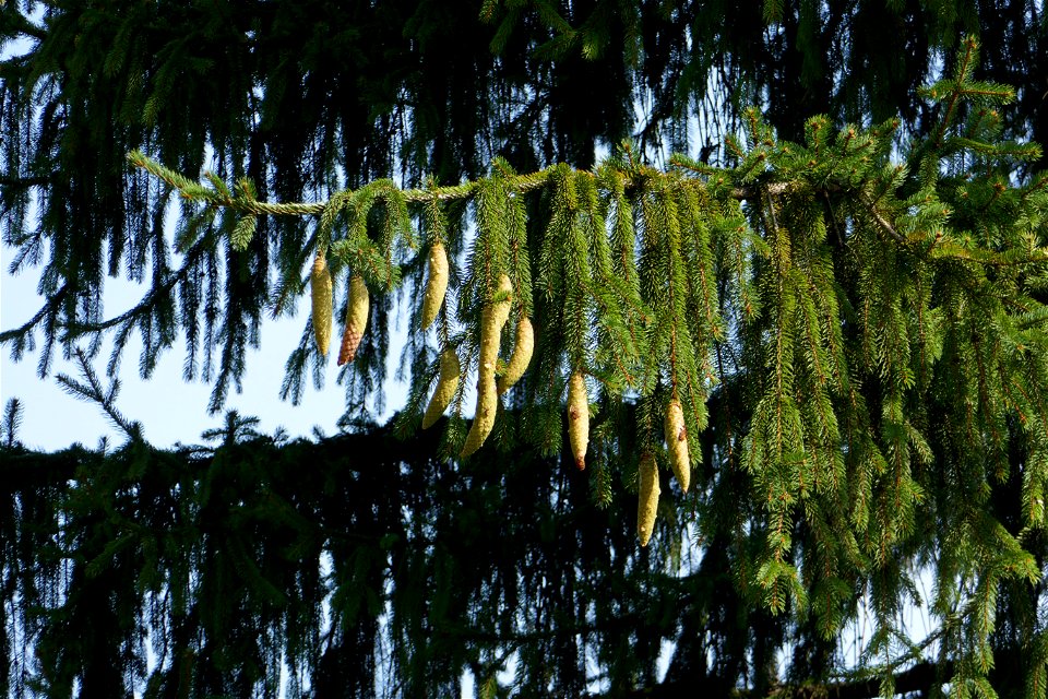 fabulous-foliage_2016_1002_112450