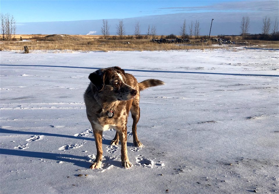 Felix of Saskatchewan