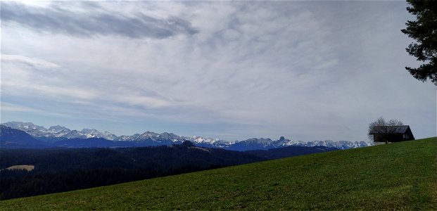 IMG_20210313_111224