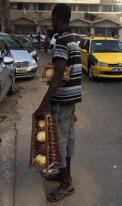Man seller balafon