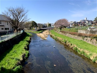 Kurome River