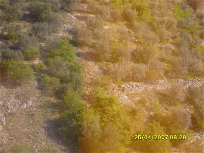200704_0412