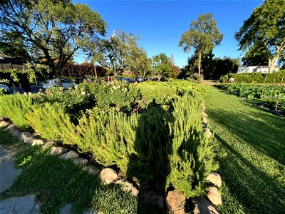 French Laundry Garden photo