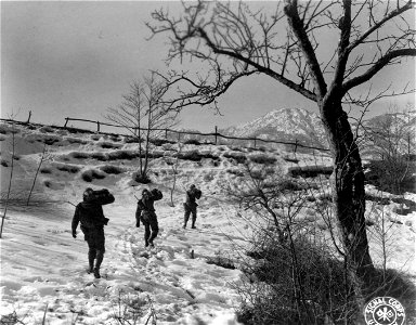 SC 329881 - Men carrying 75mm howitzer ammo up the sides of snow-covered mountains to "B" Battery, 616th F.A. Pack Bn. 8 February, 1945.