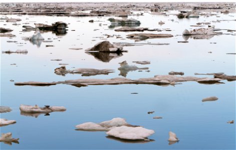 Sea Ice in Arctic National Wildlife Refuge photo