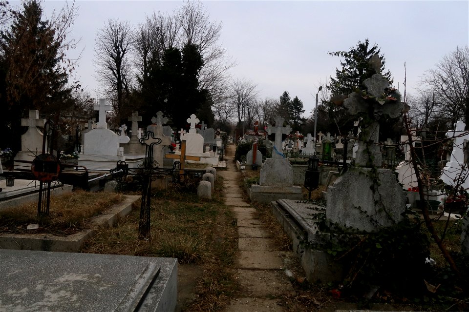 cimit_SfVineri2023_0225_140722(1)