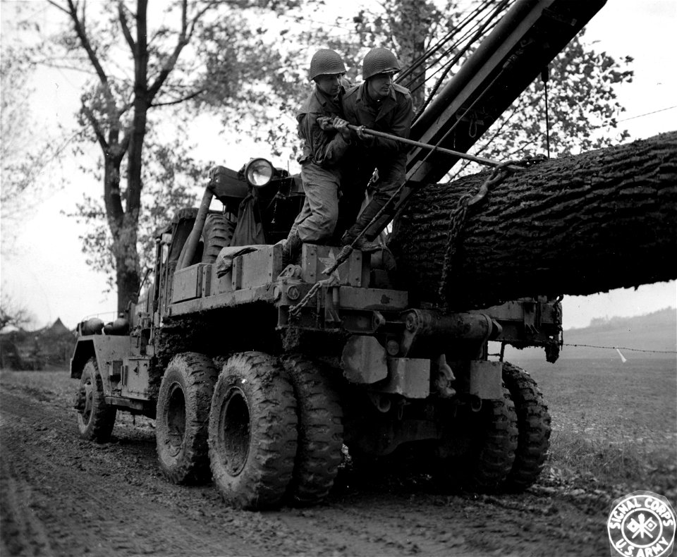 SC 196064 - Huge tree felled near Nancy, France, to supply firewood to troops of tank unit being towed in on wrecking crane.