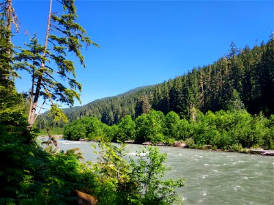 Sauk River from the Old Sauk Trail, Mt. Baker-Snoqualmie National Forest. Photo by Anne Vassar June 22, 2021.