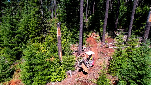 O-Mt Hood OHV Trail-21 photo