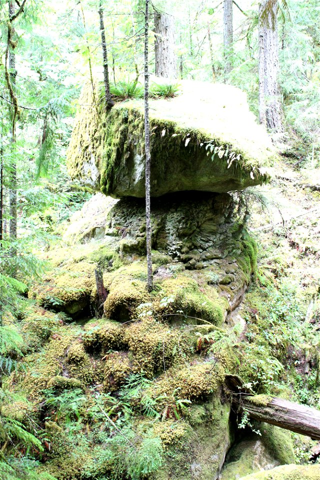 img_1505_closeup-rocks-above-cavitt-creekjpg_49363974148_o
