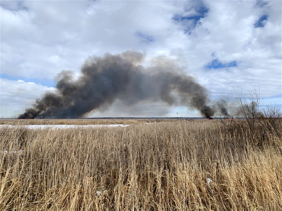 2021 USFWS Fire Employee Photo Contest Category: Landscape and Fire