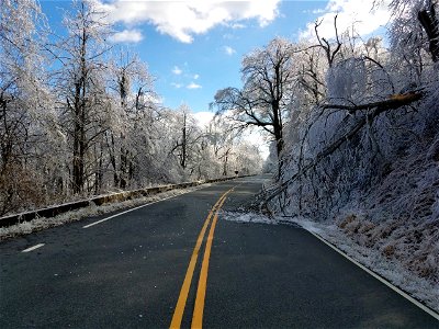 Ice Storm 202