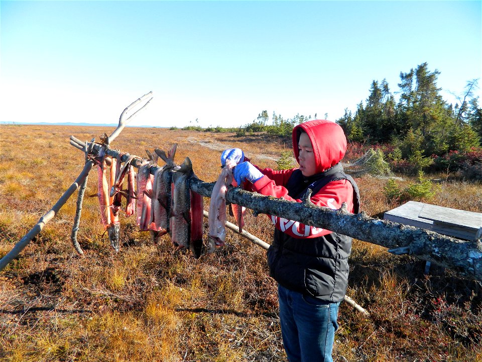 2015_Selawik_SC_drying fish