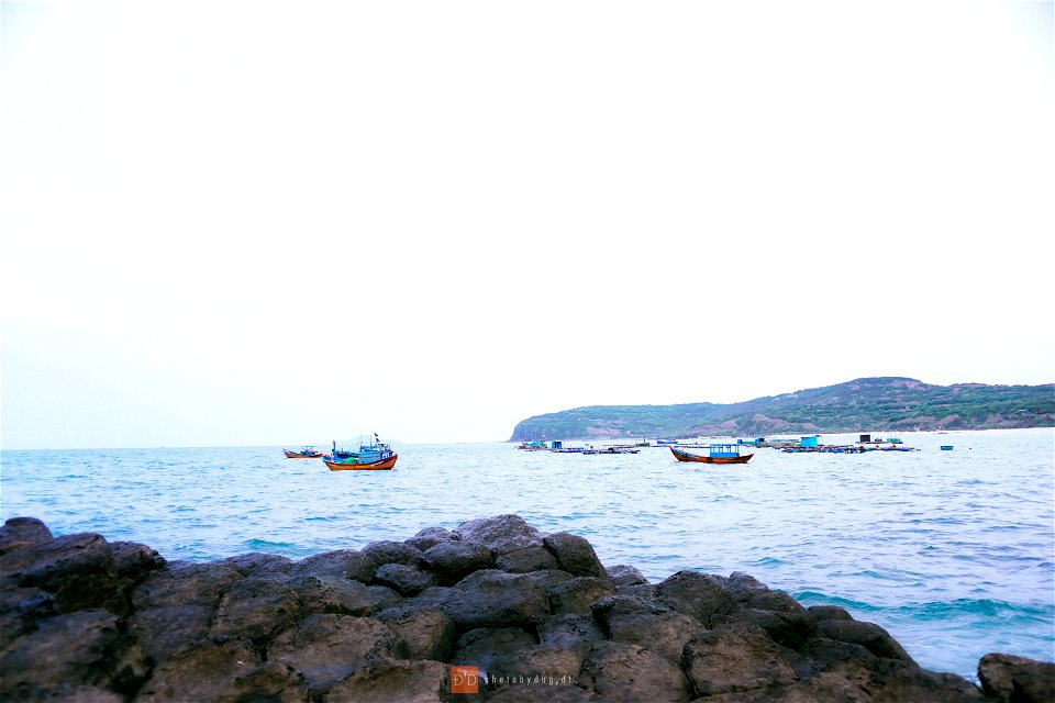 DSC00979