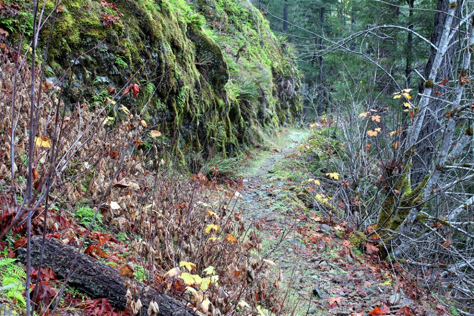 img_2200_trail19jpg_49364053768_o