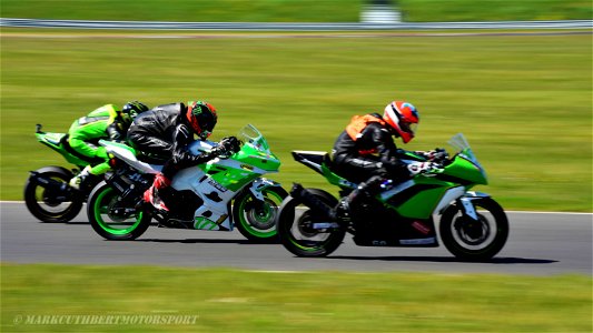 DSC_8586 (2)