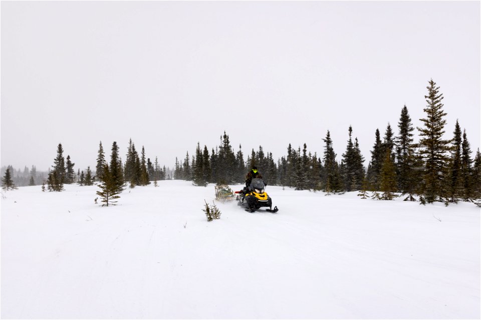 Snowmachine on the winter trail.
