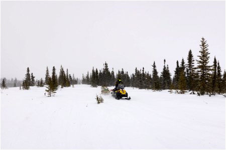 Snowmachine on the winter trail. photo