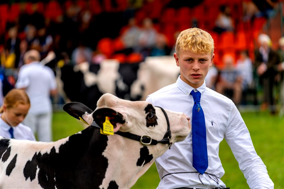 Cow people (2 of 5)