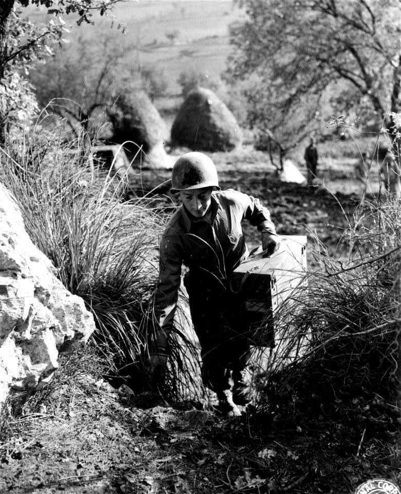 SC 184710 - Pfc. John A. Oeverso, Solvay, New York, carries pigeon carrier cage up trail for delivery to outfit which has requested birds. Pozzilli Sector, Italy. 18 December, 1943.
