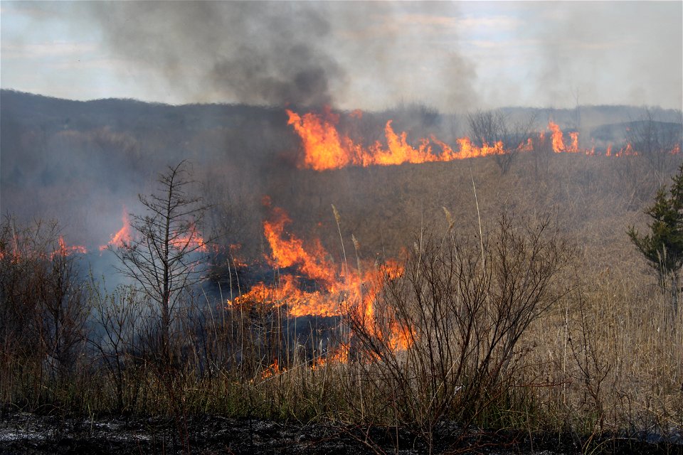 2021 USFWS Fire Employee Photo Contest Category: Fuels Management
