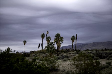 Storm clouds over the Oasis of Mara