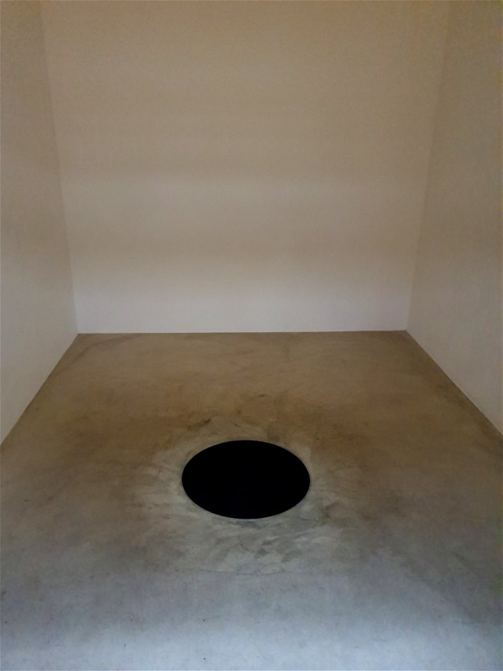 Anish Kapoor, Descent into Limbo