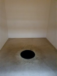 Anish Kapoor, Descent into Limbo