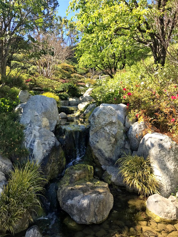 Japanese Friendship Garden photo