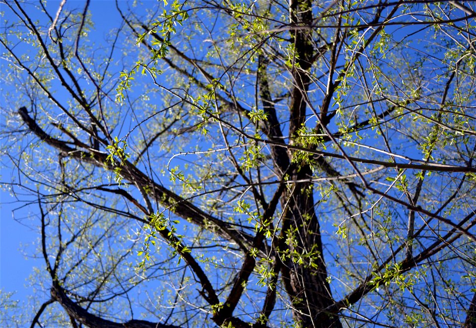 Spring has sprung!