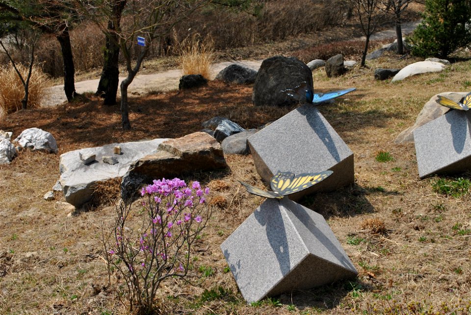 Younginsan Park Spring 2023
