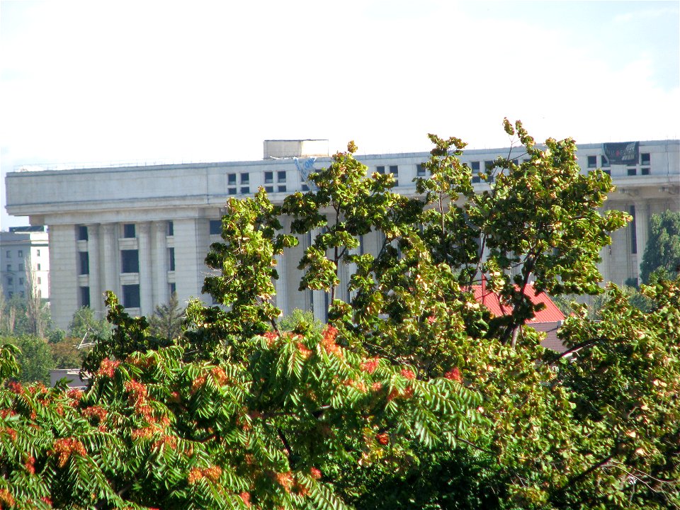 Panorama from panduri (26)