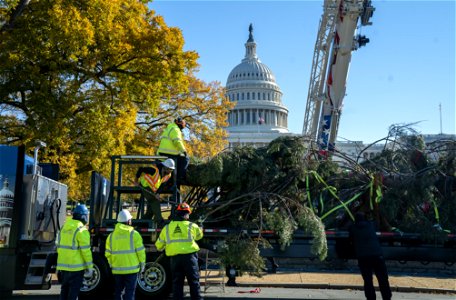 CapitolXmasTree-WashingtonDC-024 photo