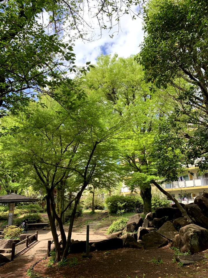 Yatocho Park