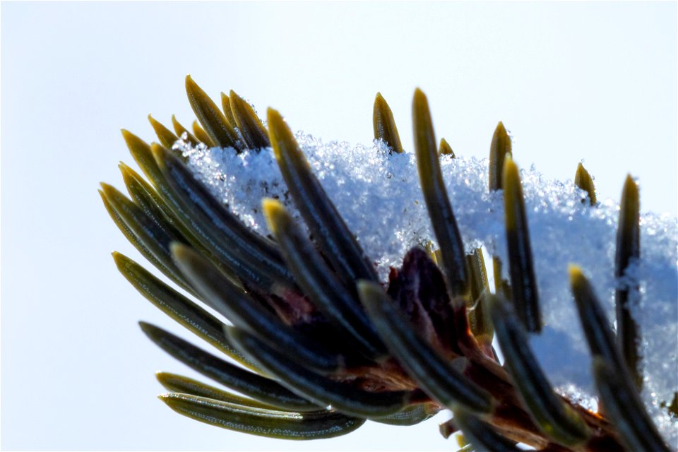 Textures of snow at Selawik National Wildlife Refuge
