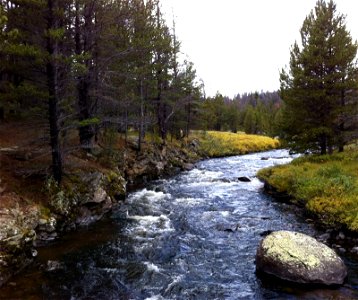 Hague Creek photo
