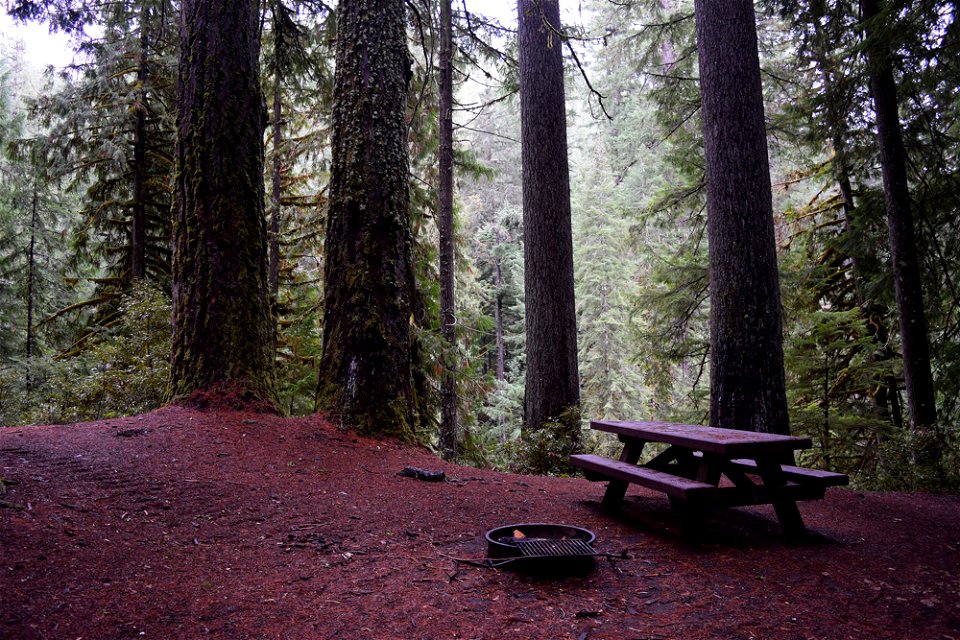 camp-comfort-2016-nickathertonjpg_49364907602_o