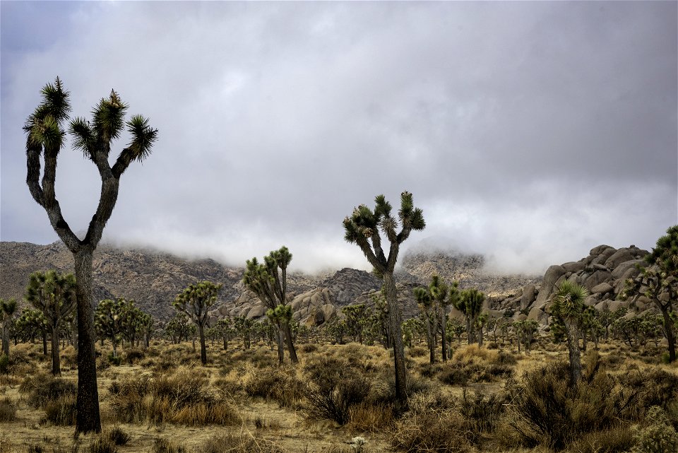 Clouds over Lost Horse Valley