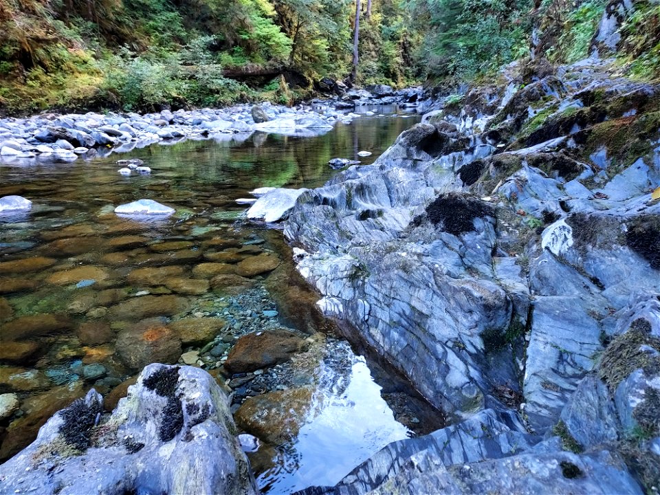 Clear Creek, Mt. Baker-Snoqualmie National Forest. Photo by Anne Vassar Sept. 13, 2021.