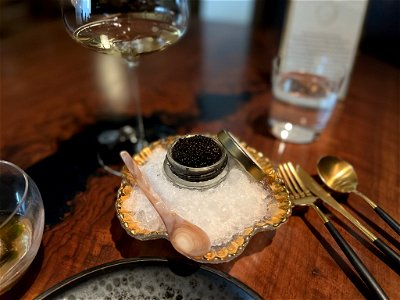 Caviar Supplement photo