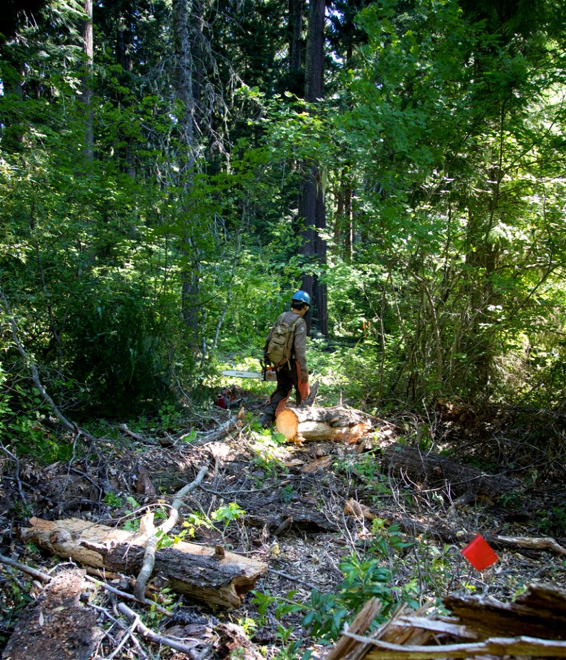 O-Mt Hood OHV Trail-5 photo