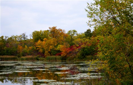 Fall in Minnesota photo