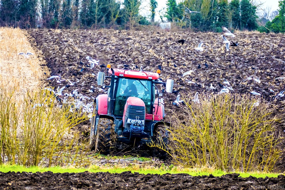 Ploughing the fields