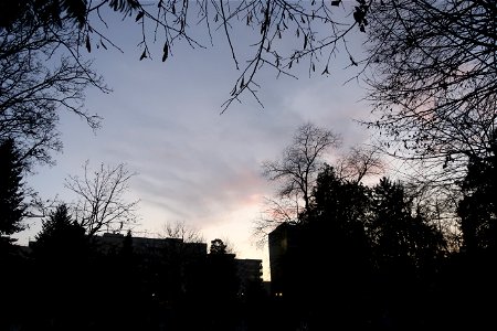 IMG_6785