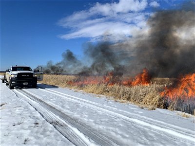 2021 USFWS Fire Employee Photo Contest Category: Fuels Management photo