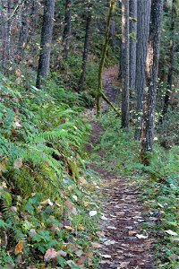 img_2008_trail3jpg_49364711332_o