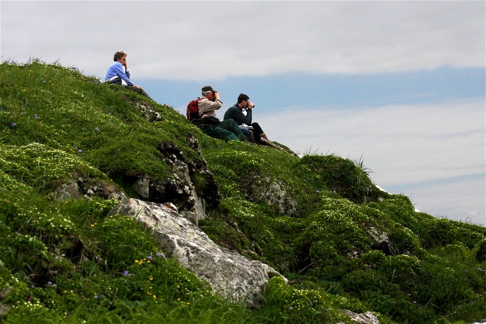 Searching the scenery