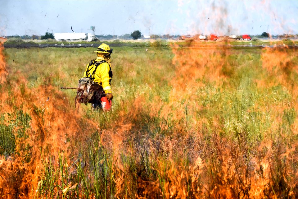 BLM’s Folsom Lake Veterans Crew perform RX Burn at Cosumnes River Preserve restoring critical habitat.