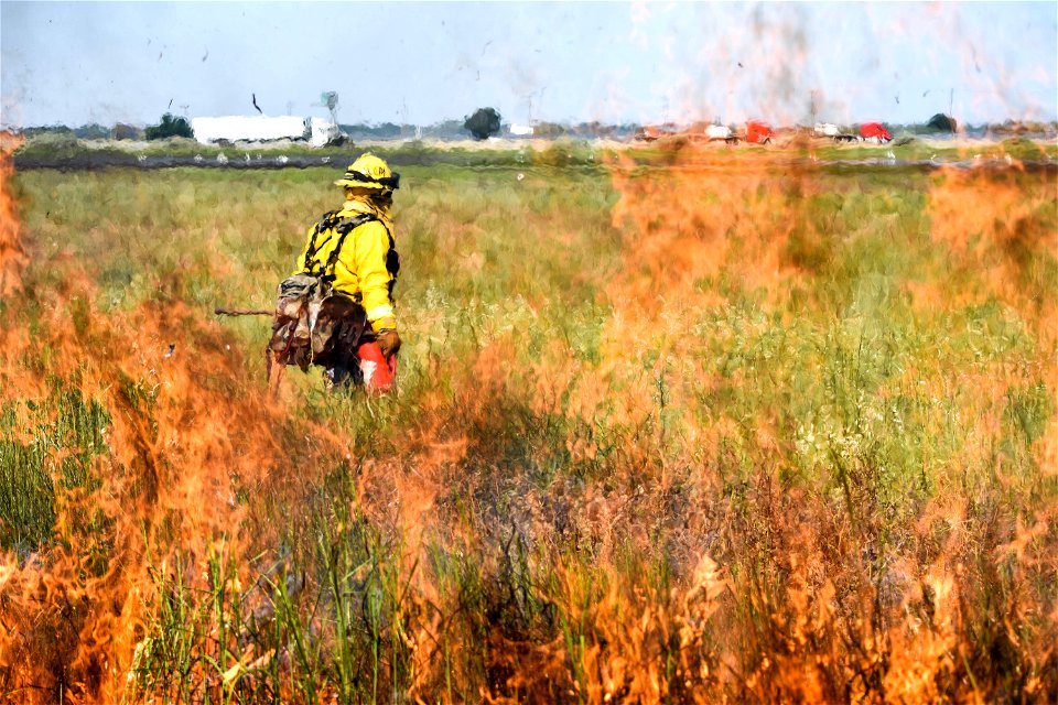 BLM’s Folsom Lake Veterans Crew perform RX Burn at Cosumnes River Preserve restoring critical habitat. photo