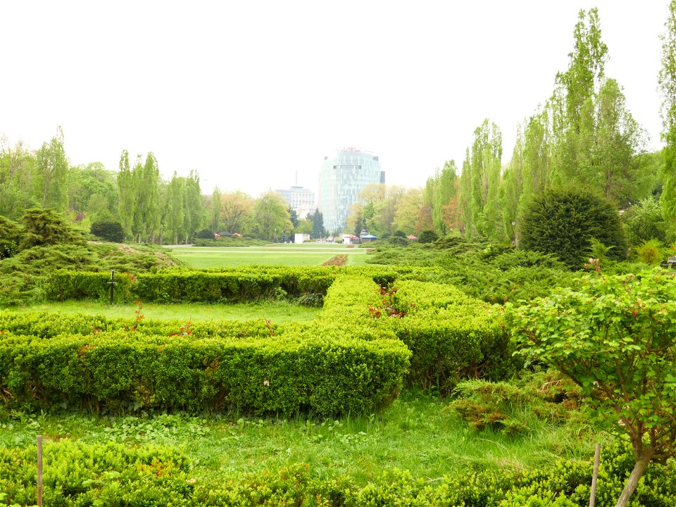 Herestrau Park in spring (100)